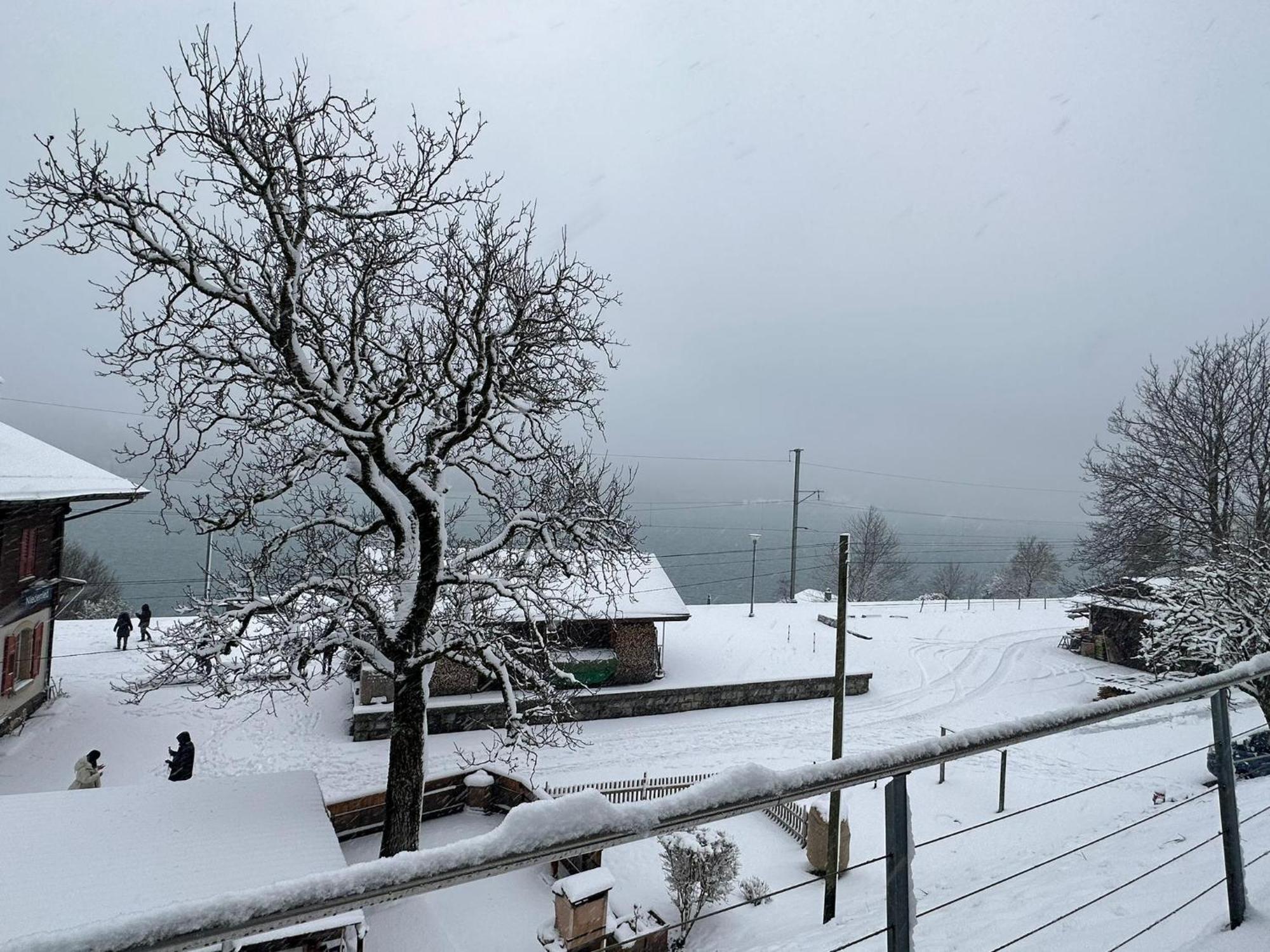 Lake View Residence Niederried bei Interlaken Екстер'єр фото