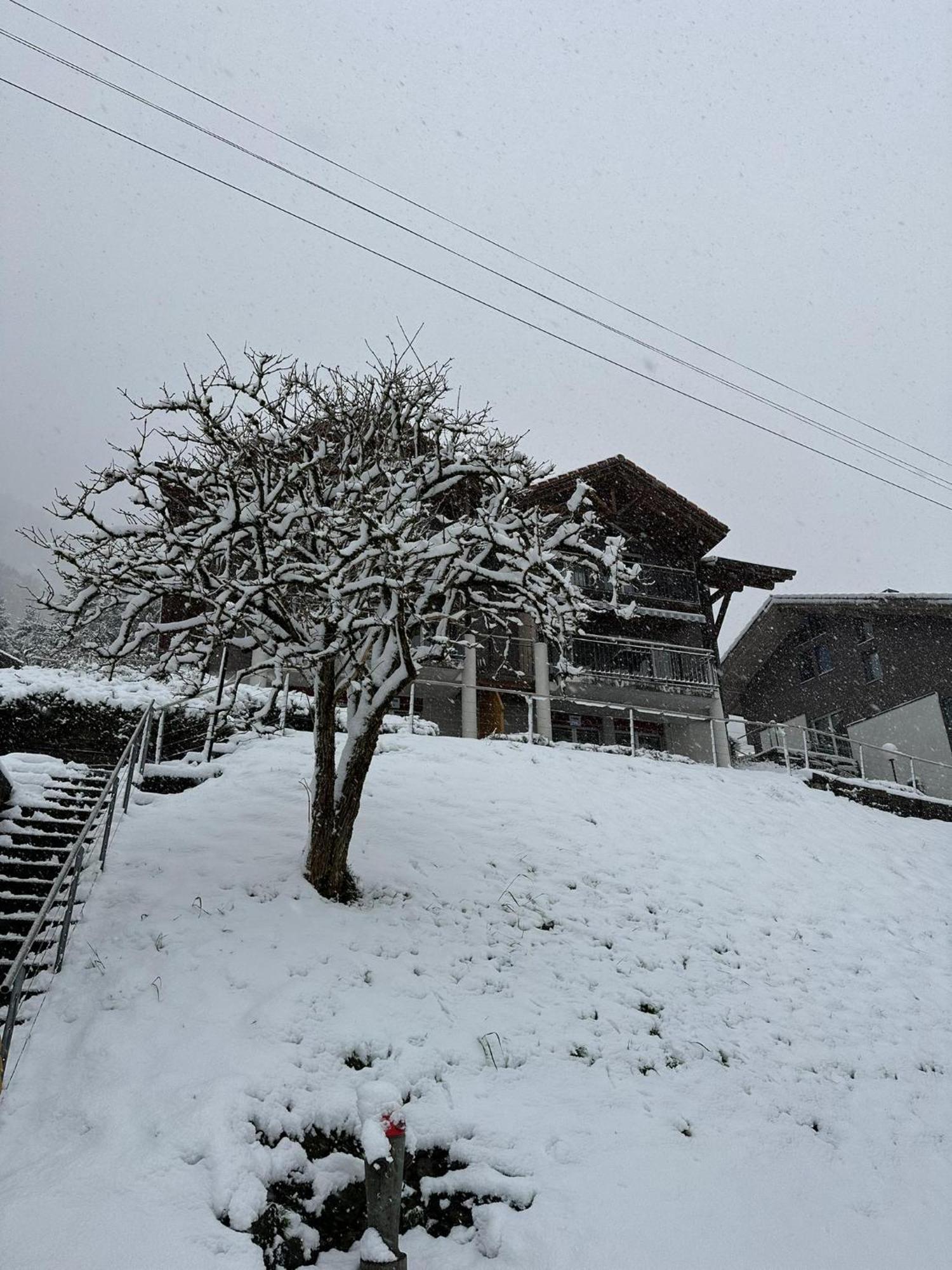 Lake View Residence Niederried bei Interlaken Екстер'єр фото